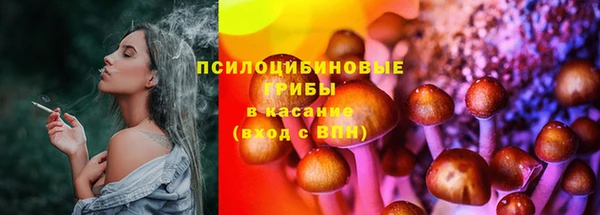 apvp Балахна