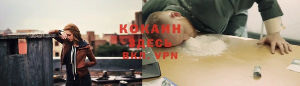 стаф Арсеньев