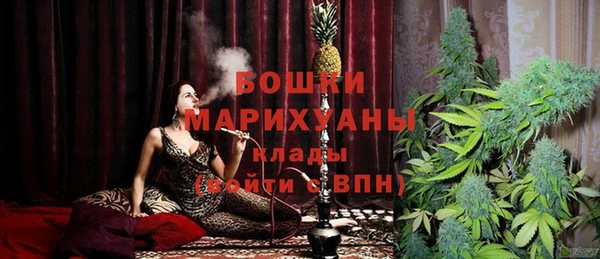 стаф Арсеньев