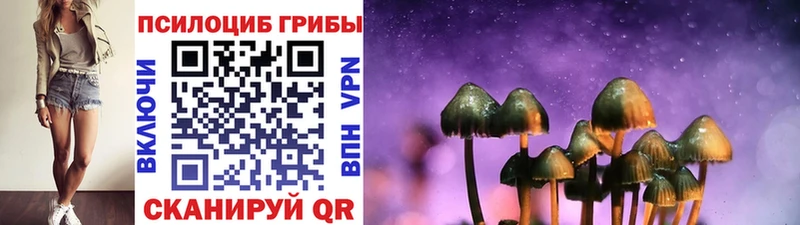 Псилоцибиновые грибы GOLDEN TEACHER  закладки  Волжск 
